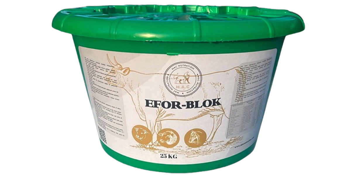 efor-blok