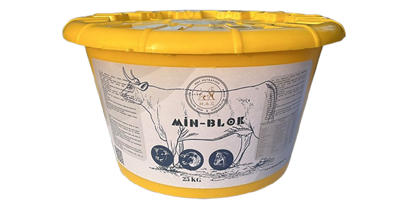 image-removebg-preview